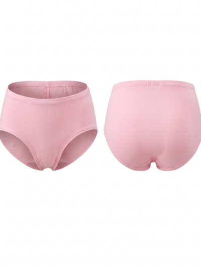 Brief panty